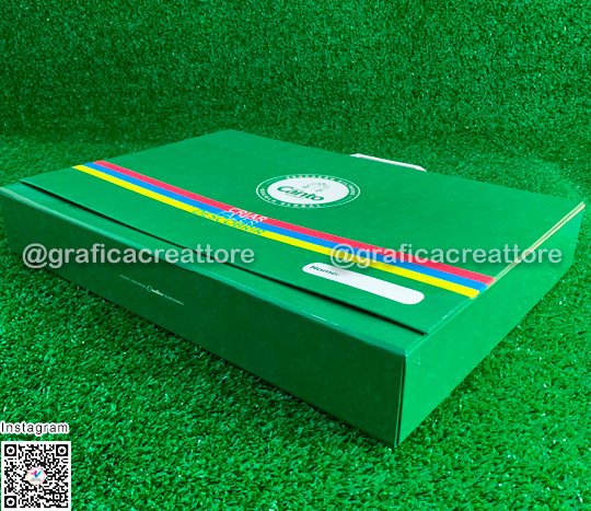 Caixa R�gida Safe Iron